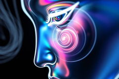 contours-of-the-mind-406